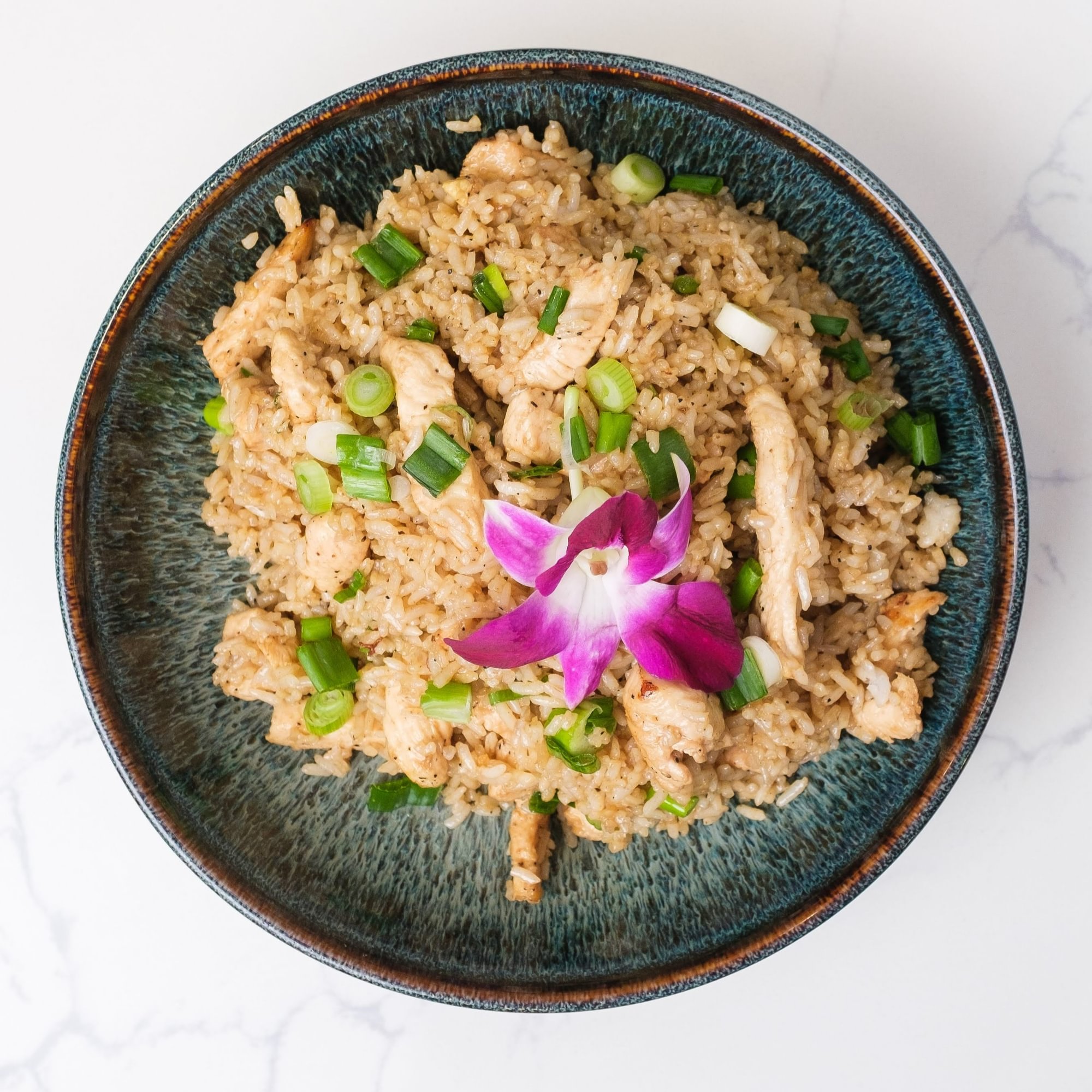 Pollo - Chicken - Chaufa