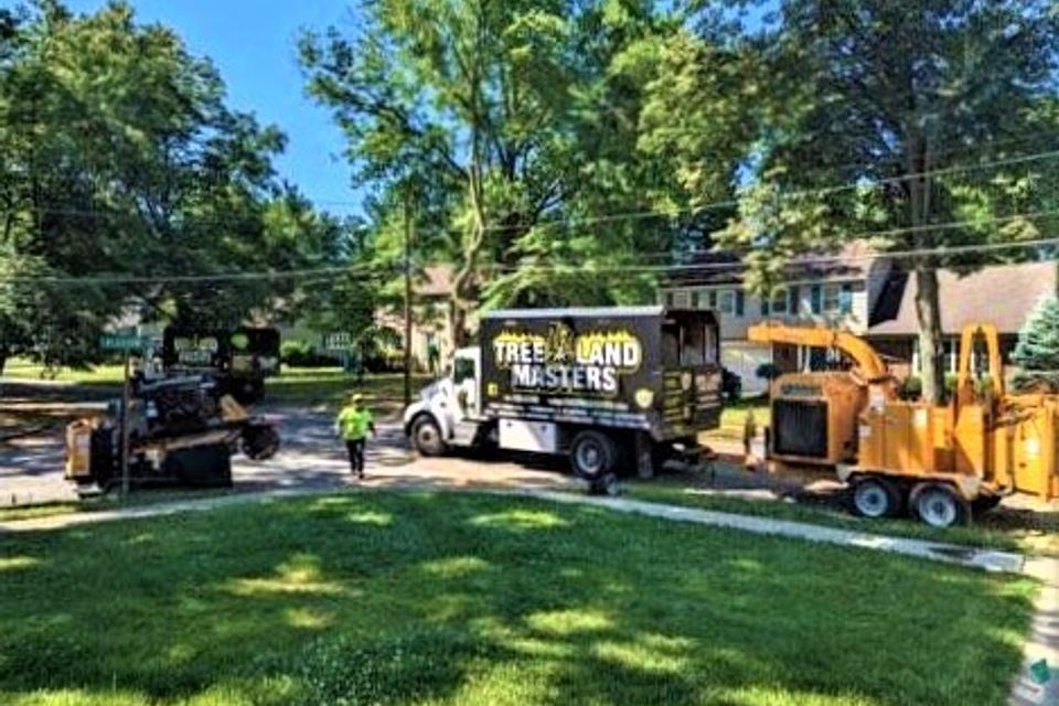 Tree & Land Masters LLC Image