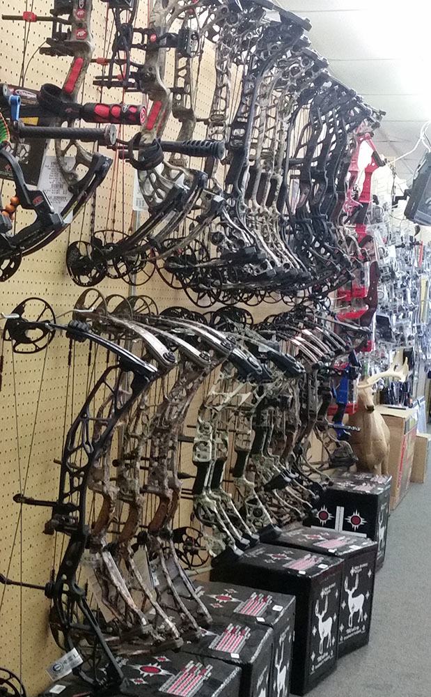 Twig archery coupon code