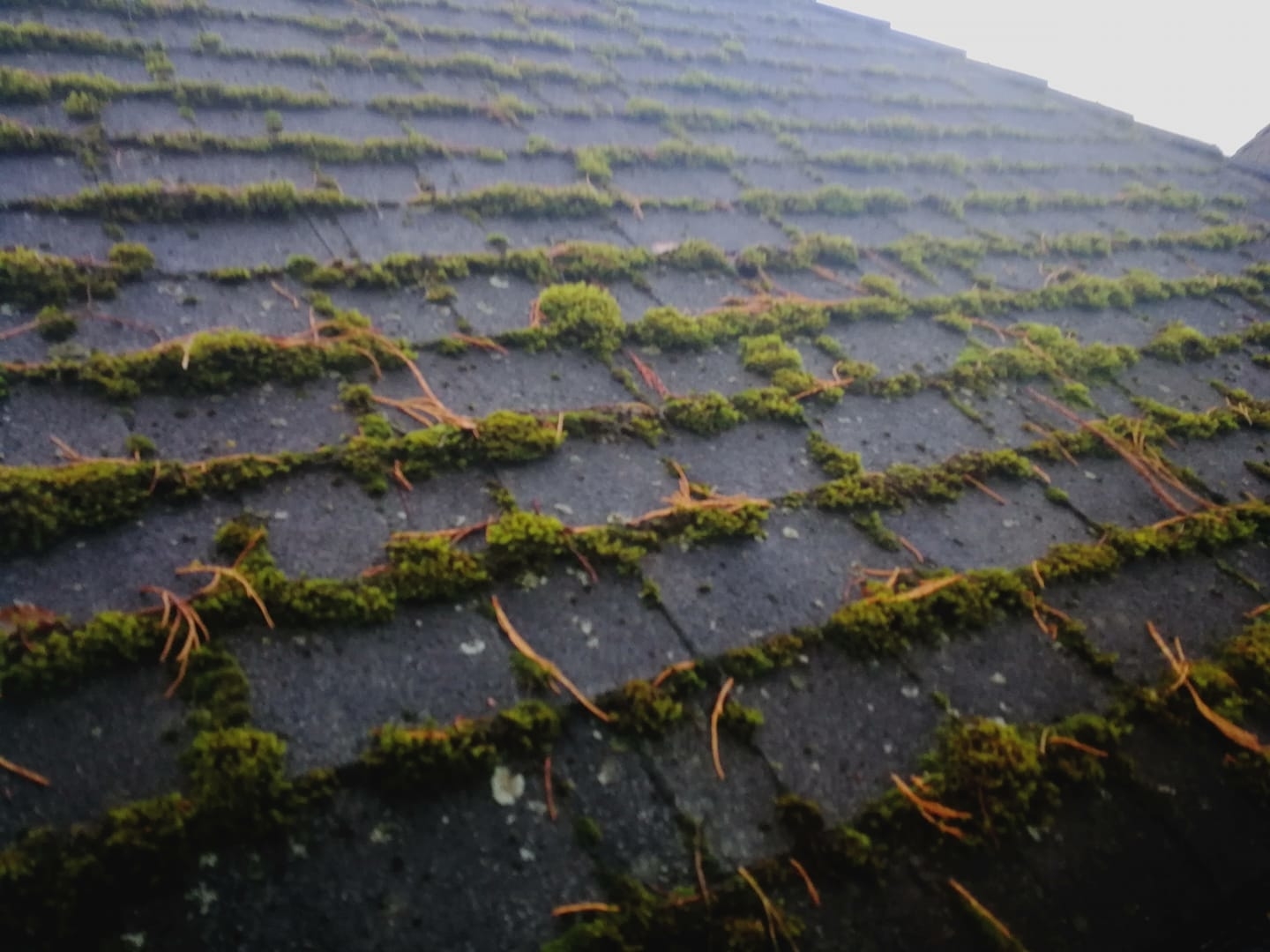 Images Roof Savers Canada