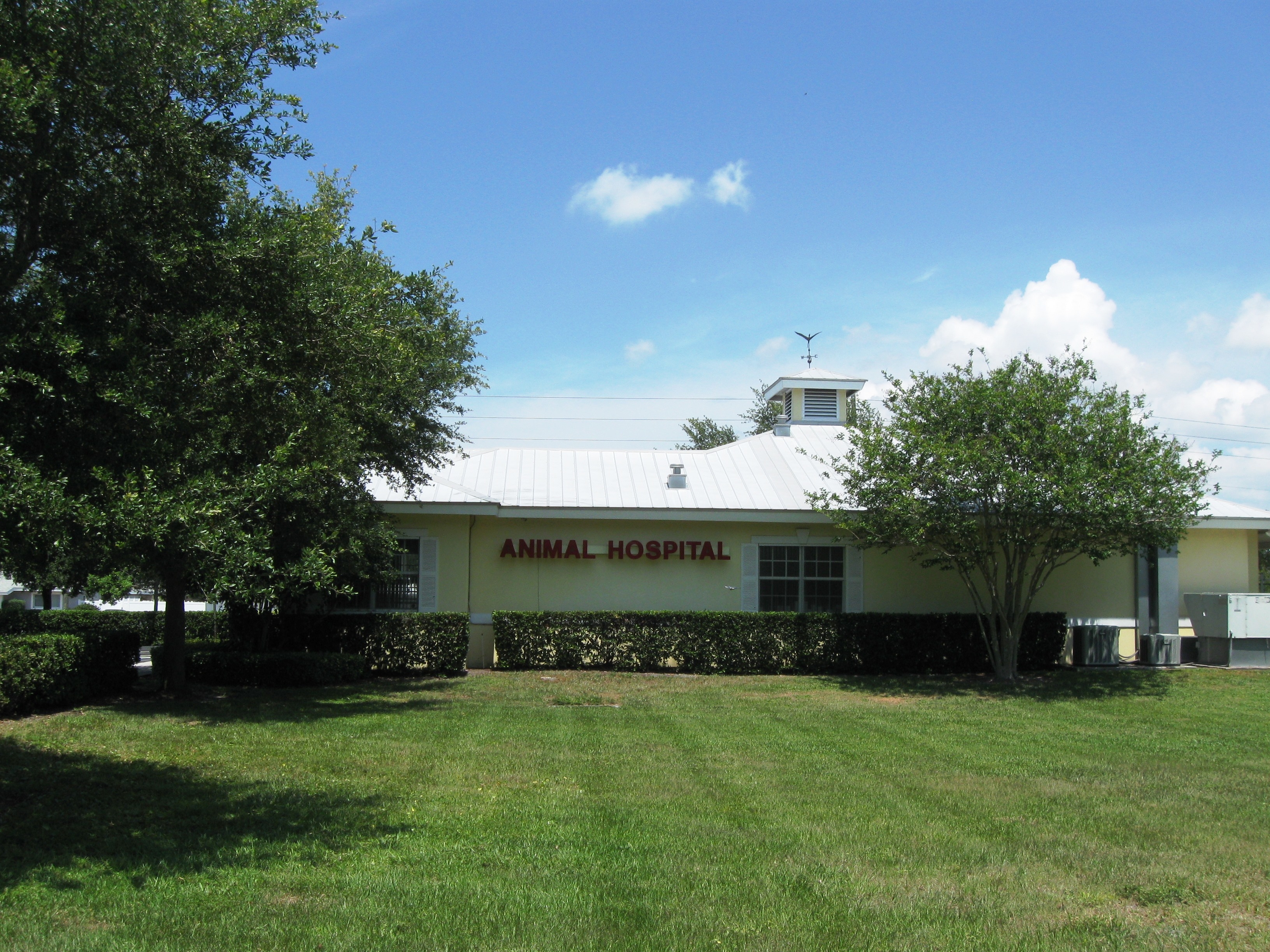 Central Animal Hospital on Pinellas Point Photo