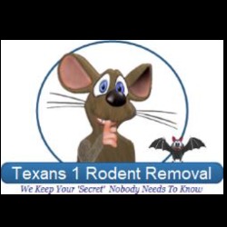 Texans Rodent Removal