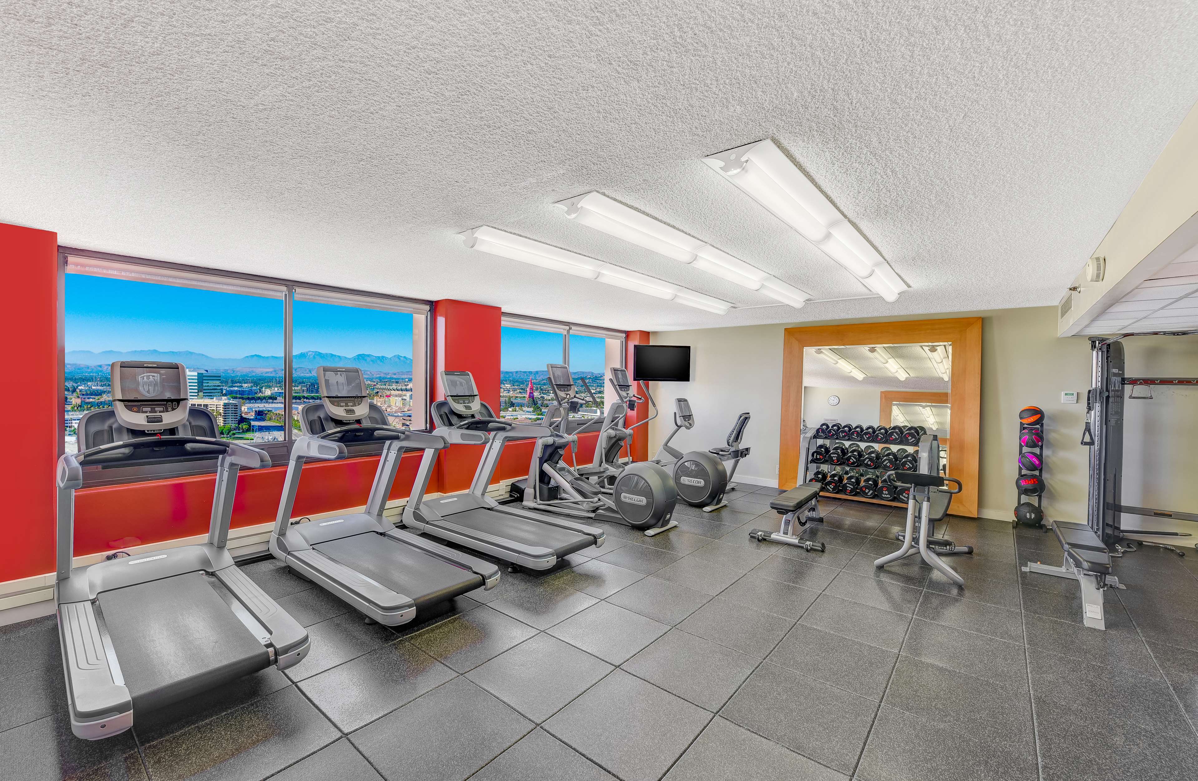 Health club  fitness center  gym