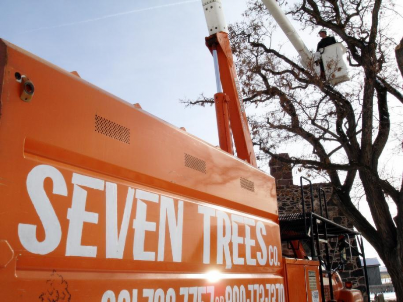 Seven Trees Co. Tree Experts Photo