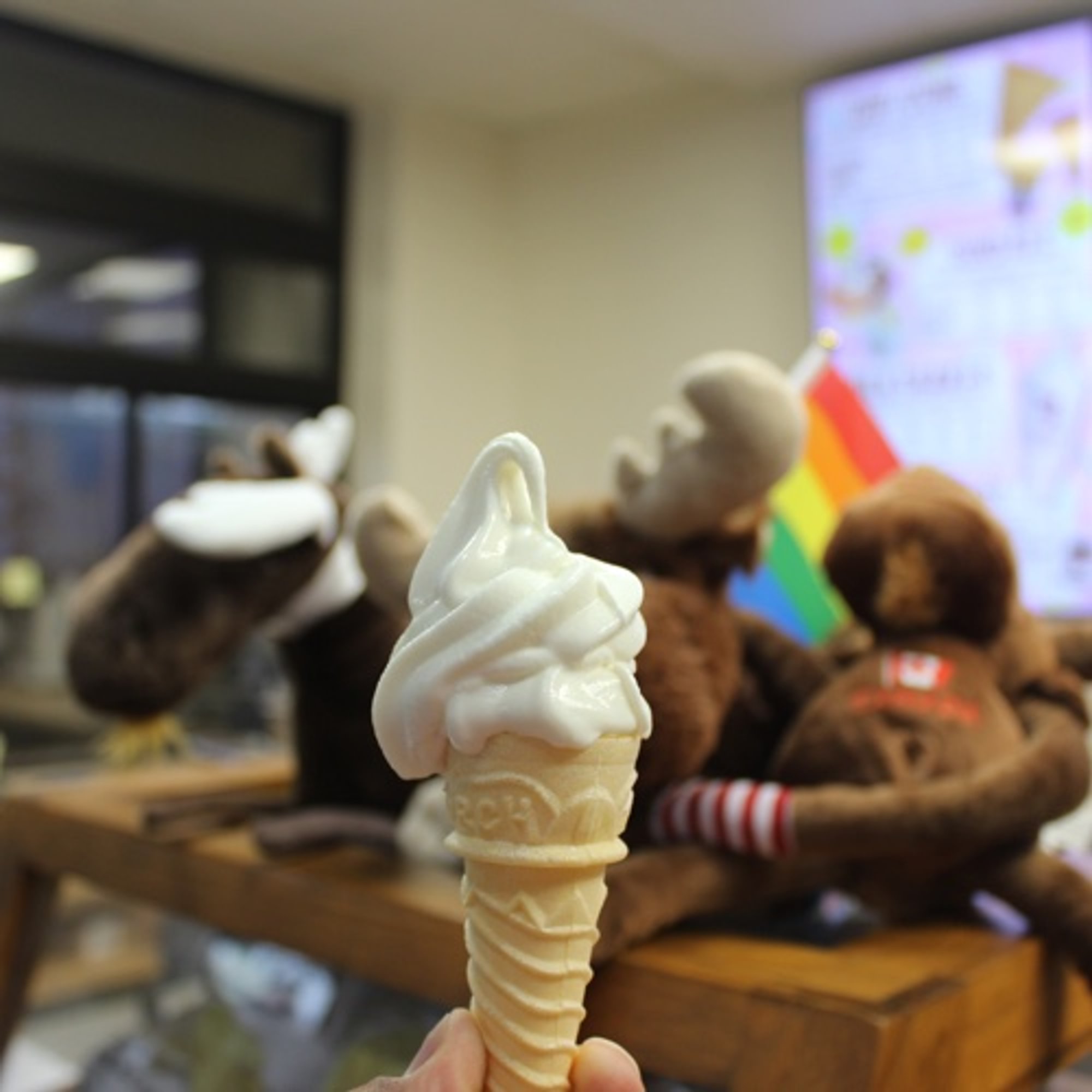 Torch Cone