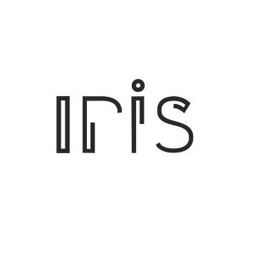 Iris Marketing Team | Digital Marketing Agency