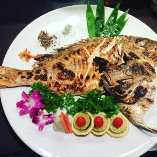Tilapia