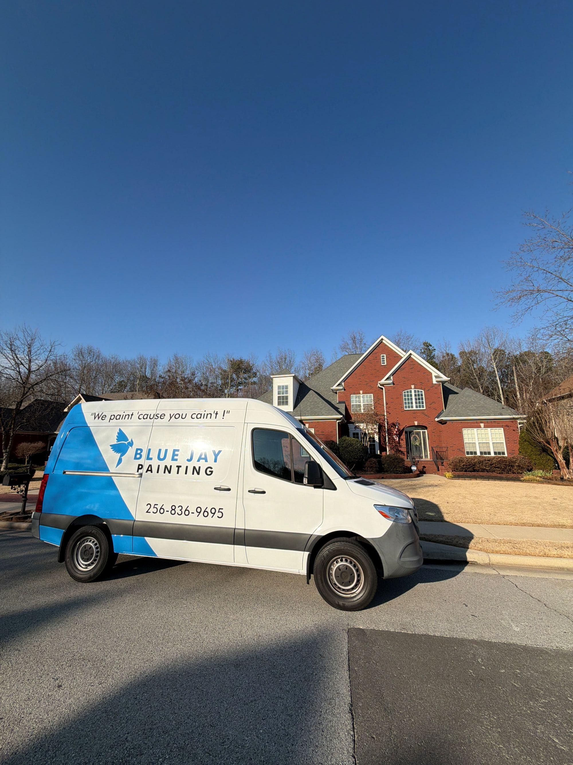 Blue Jay Painting Image