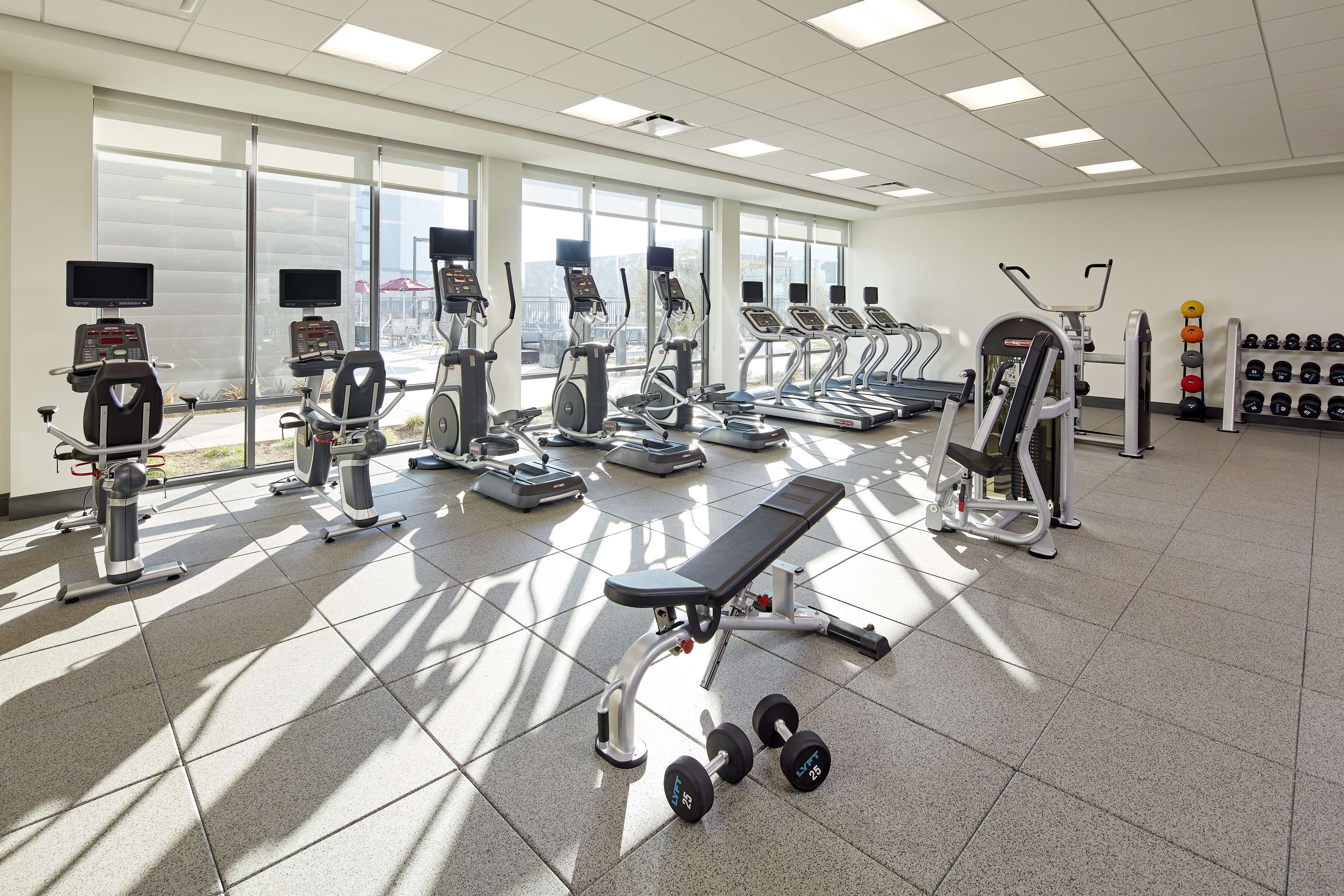 Health club  fitness center  gym