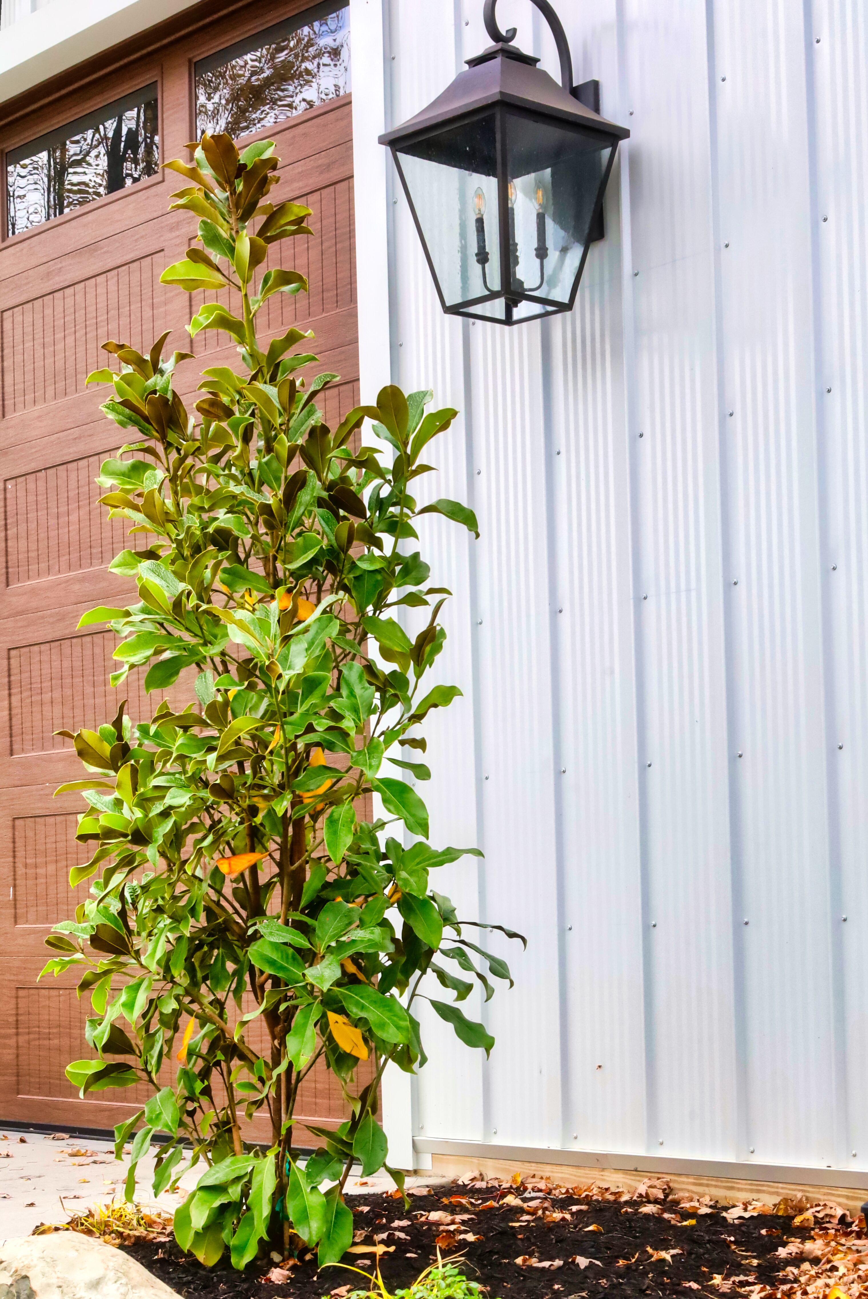 Oakwood Lawn & Landscaping Image