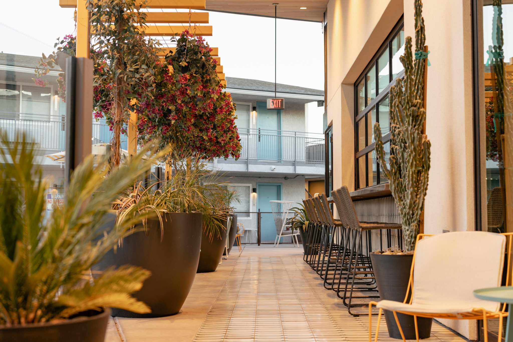 voco the Tuxon by IHG Image