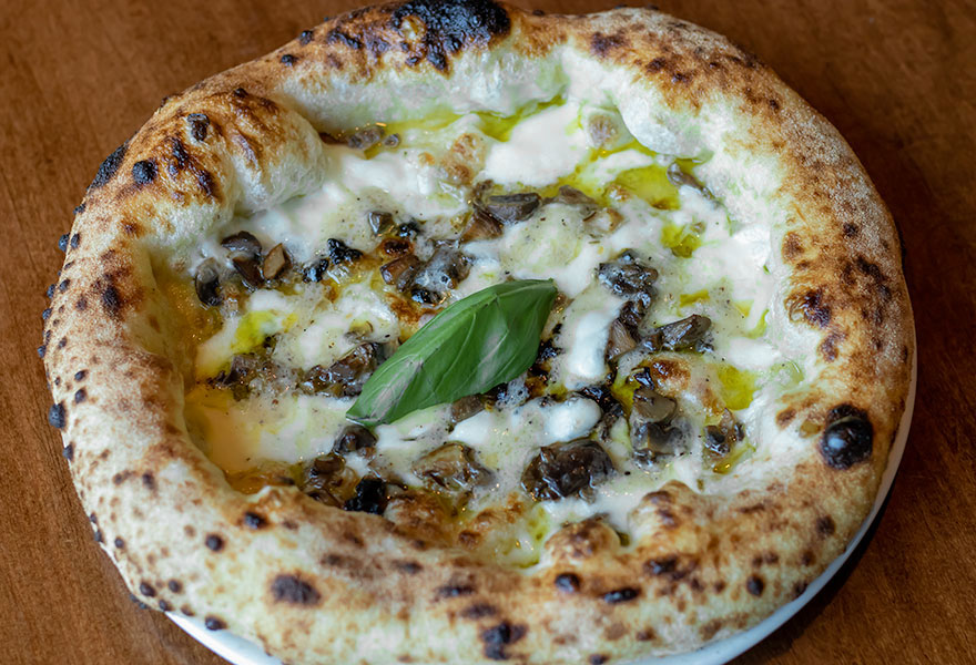 Fungo Pizze