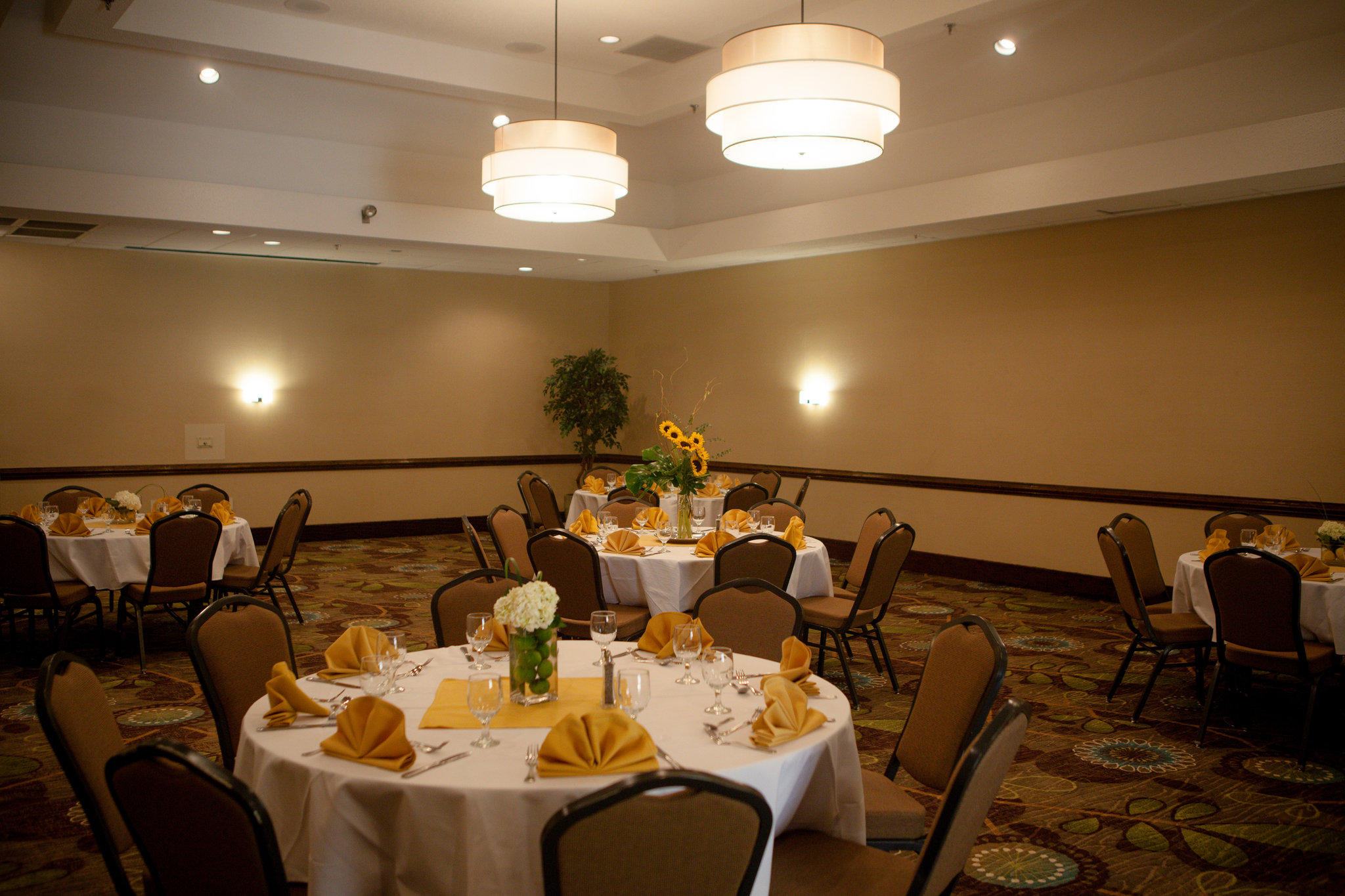 Holiday Inn Greenville by IHG Image