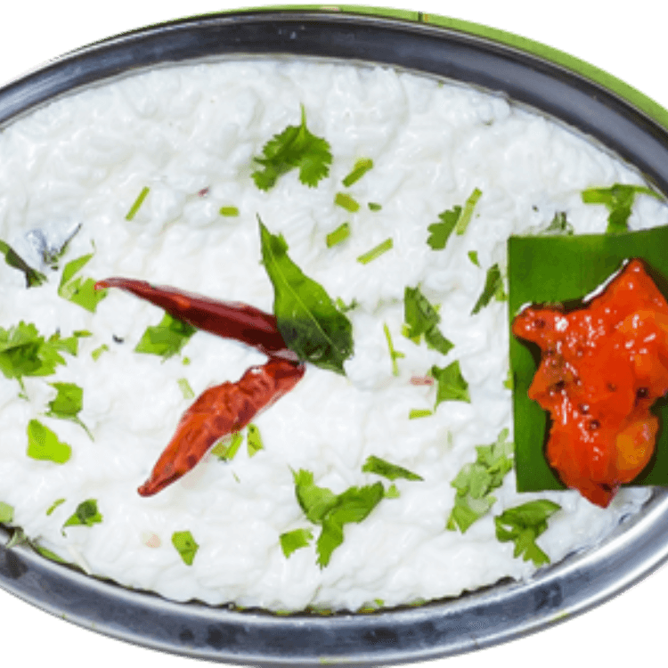 Curd Rice