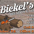 Bickel&apos;s Tree Service LLC Logo