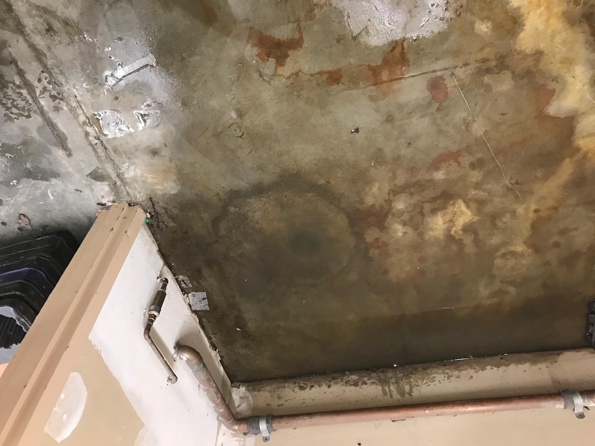 Leak Detection Water Damage Mcdonalds Restoration Photo