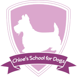 Chloe's School For Dogs
