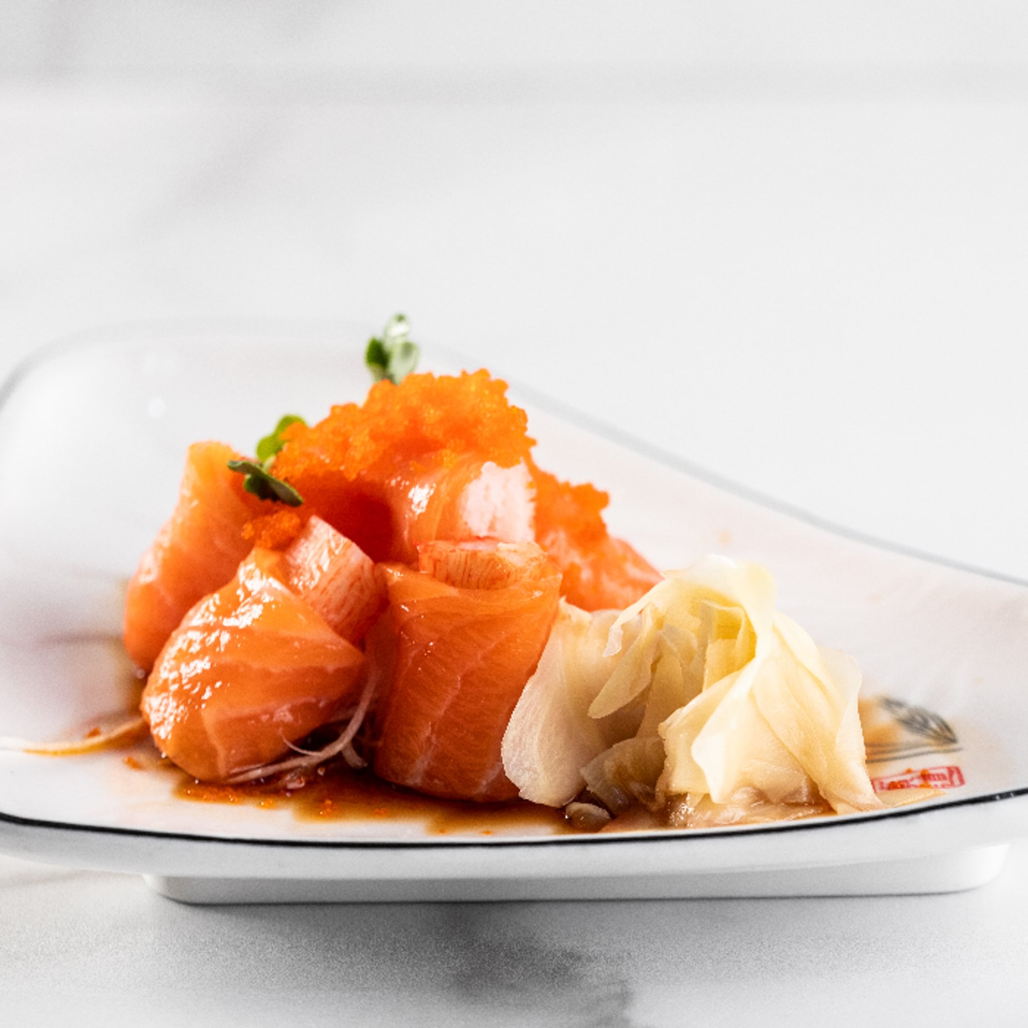 Salmon Lover