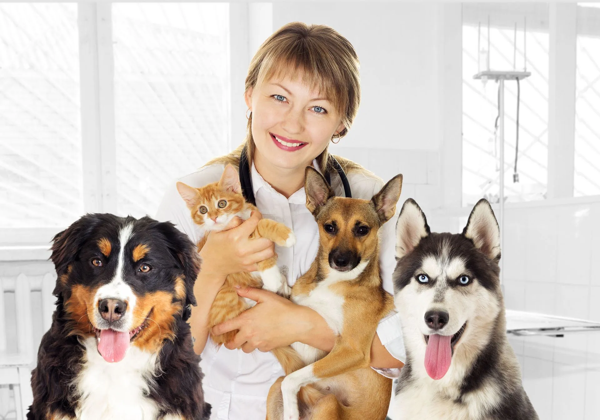 Veterinary Services