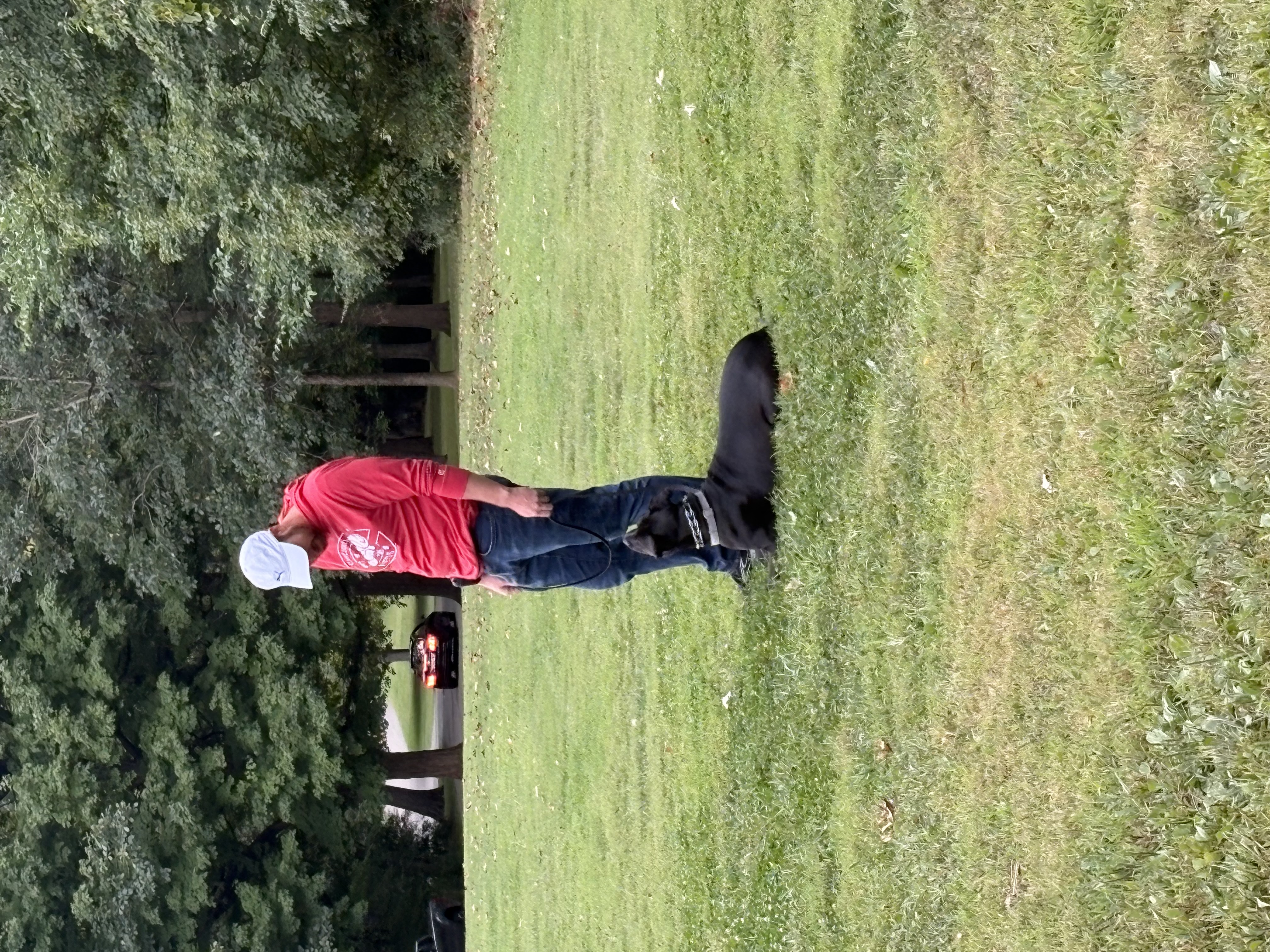 Underdog K-9 Academy LLC Image