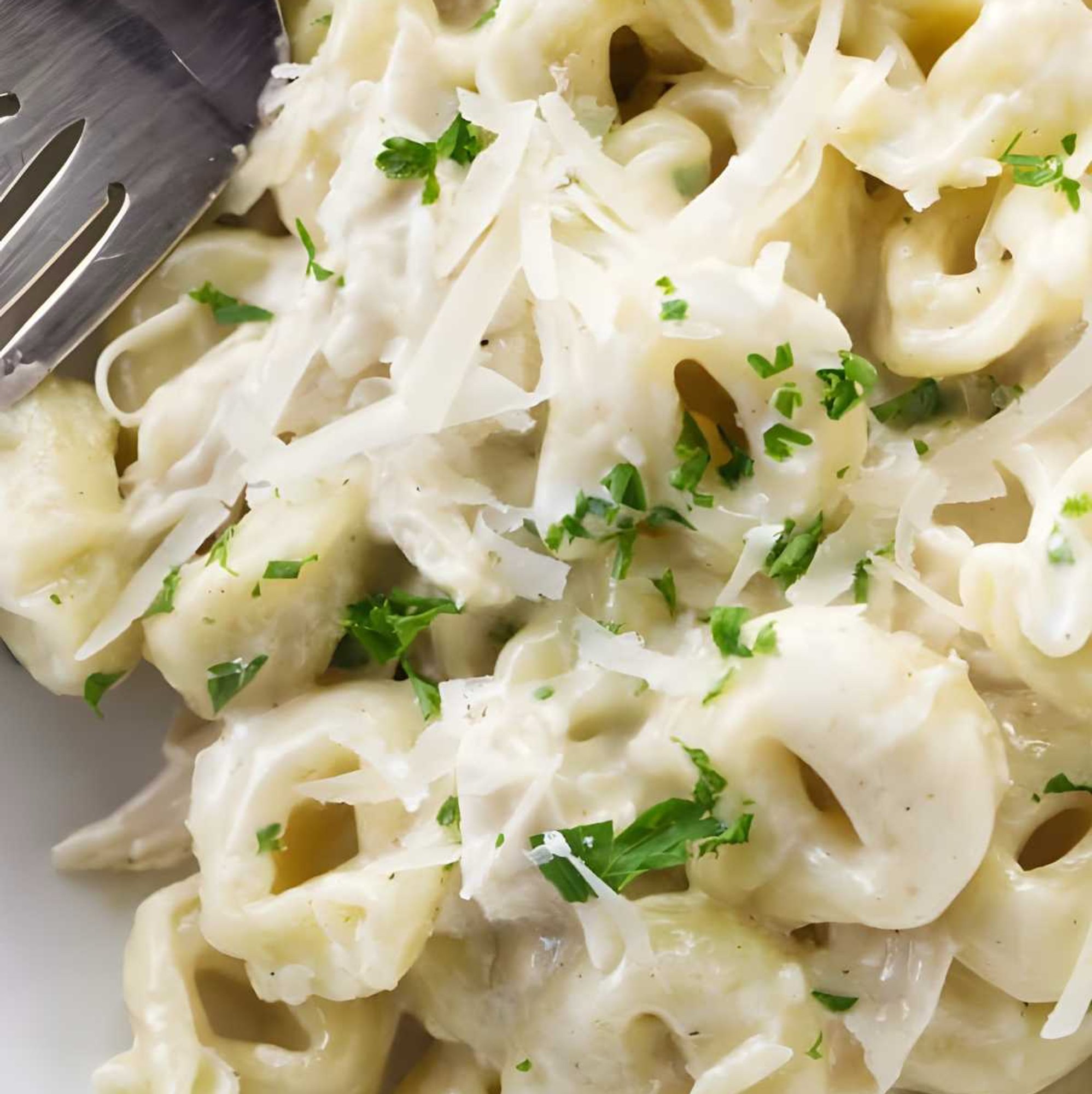 Cheese Tortellini Alfredo