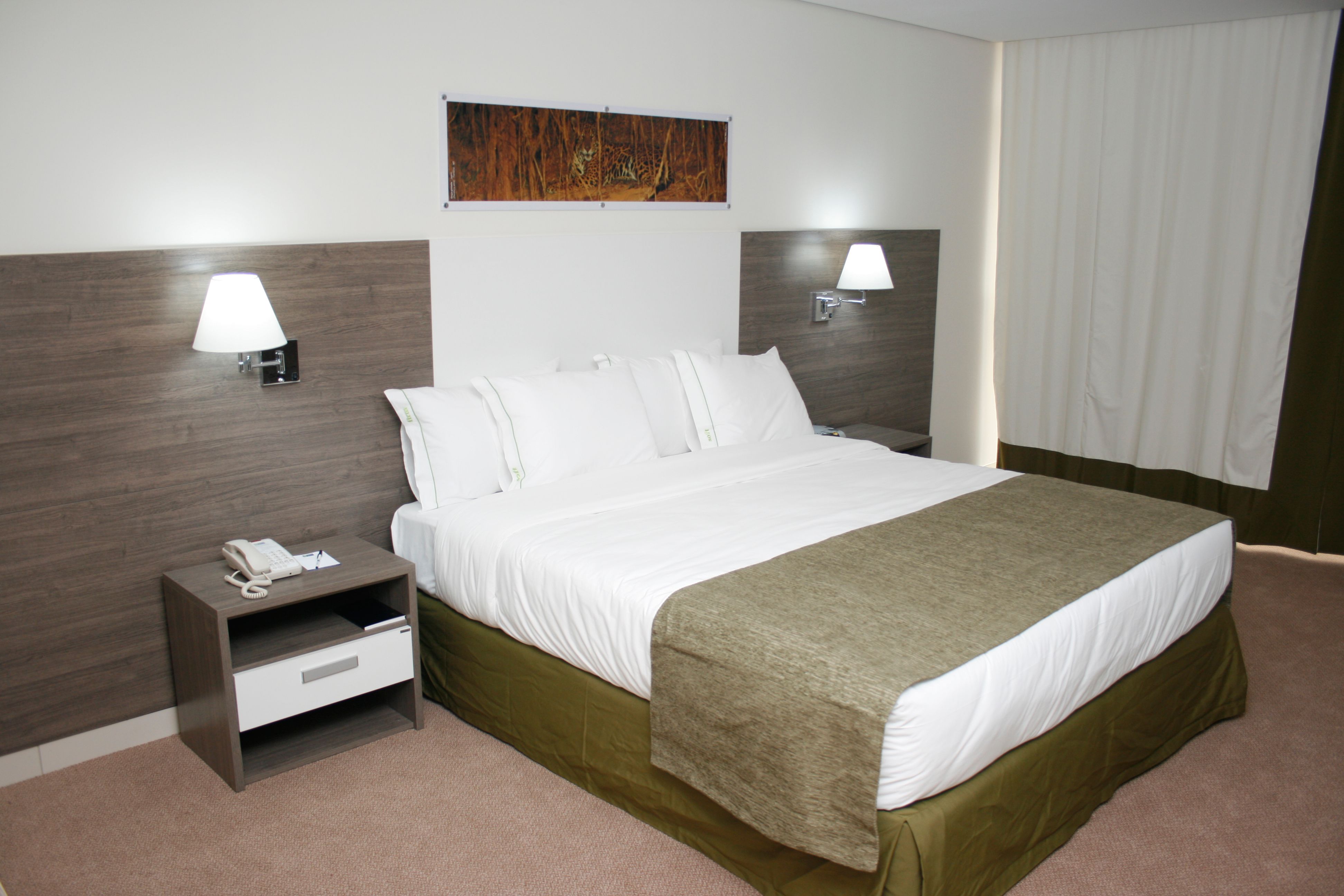 Images Holiday Inn Cuiaba