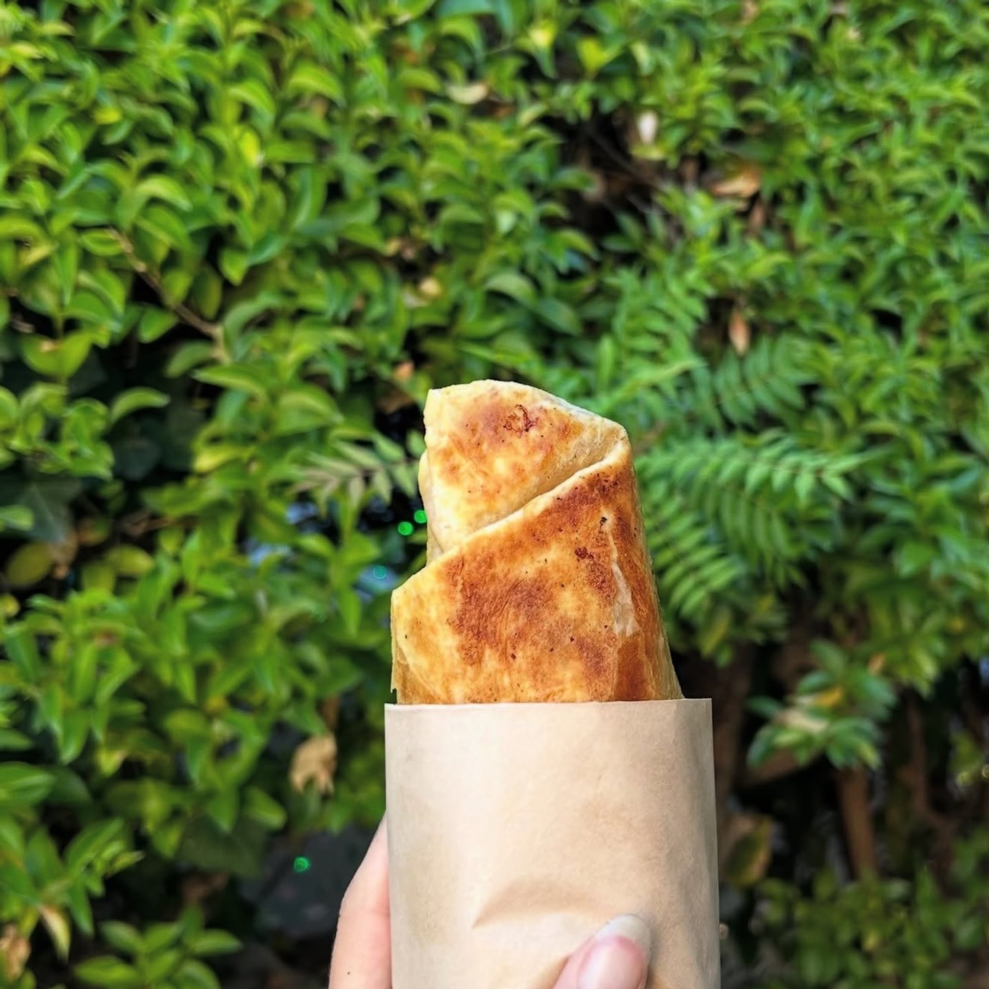 The Breakfast Burrito