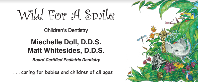 Wild for a Smile Children's Dentistry Photo