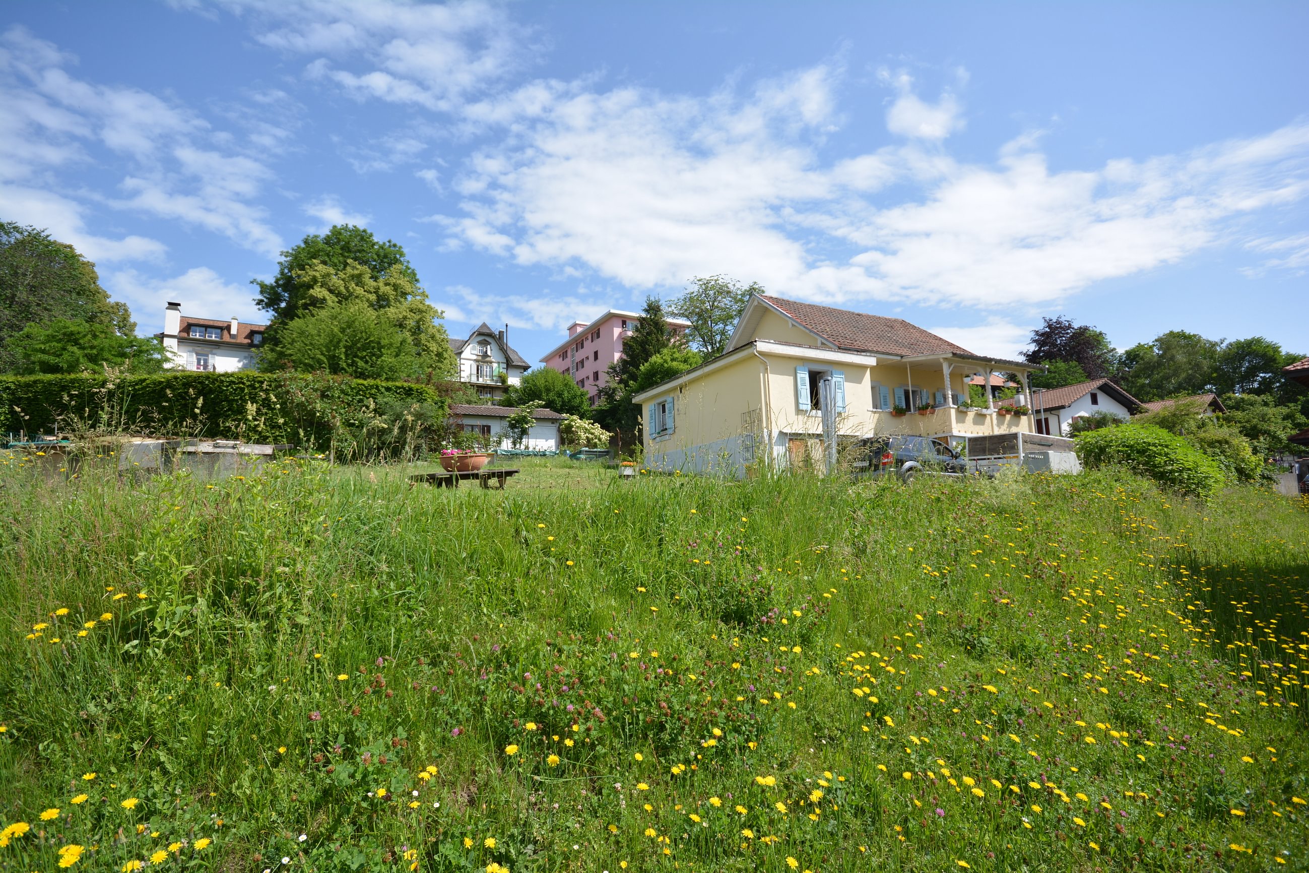 Galerie-Thumbnail