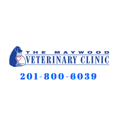 The Maywood Veterinary Clinic Photo