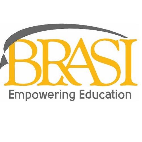 Business Research and Service Institute LLC Logo