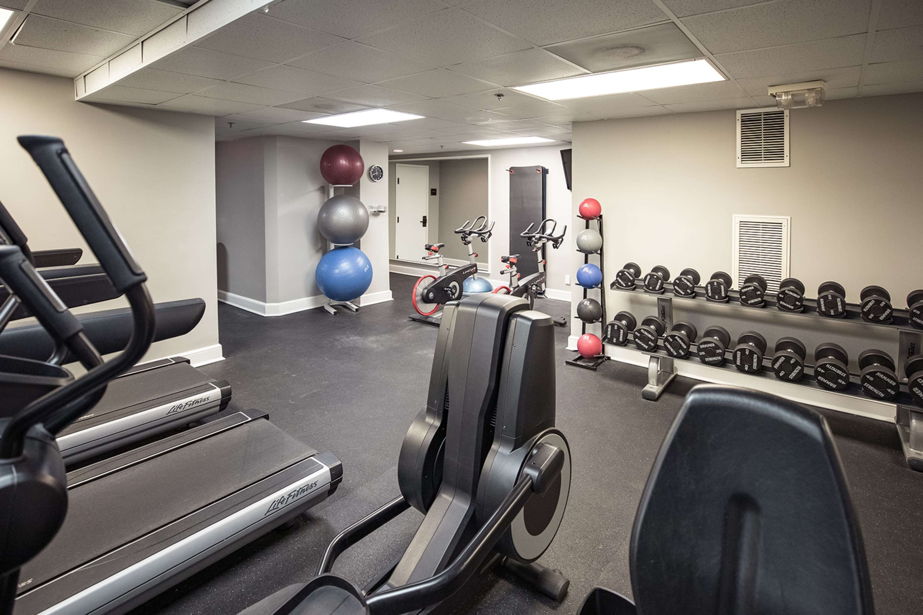 Health club  fitness center  gym