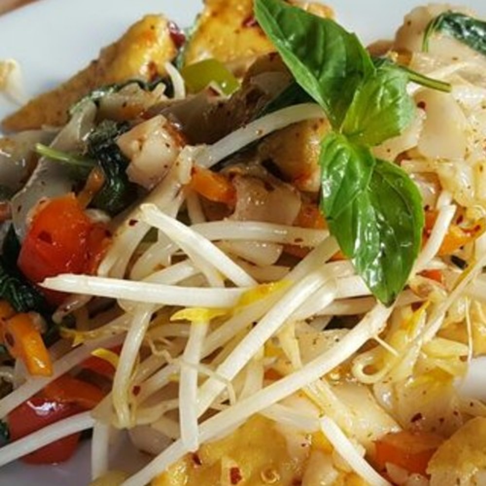 Pad Khee Moa