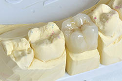 Greenfield Optimal Dental Care Photo