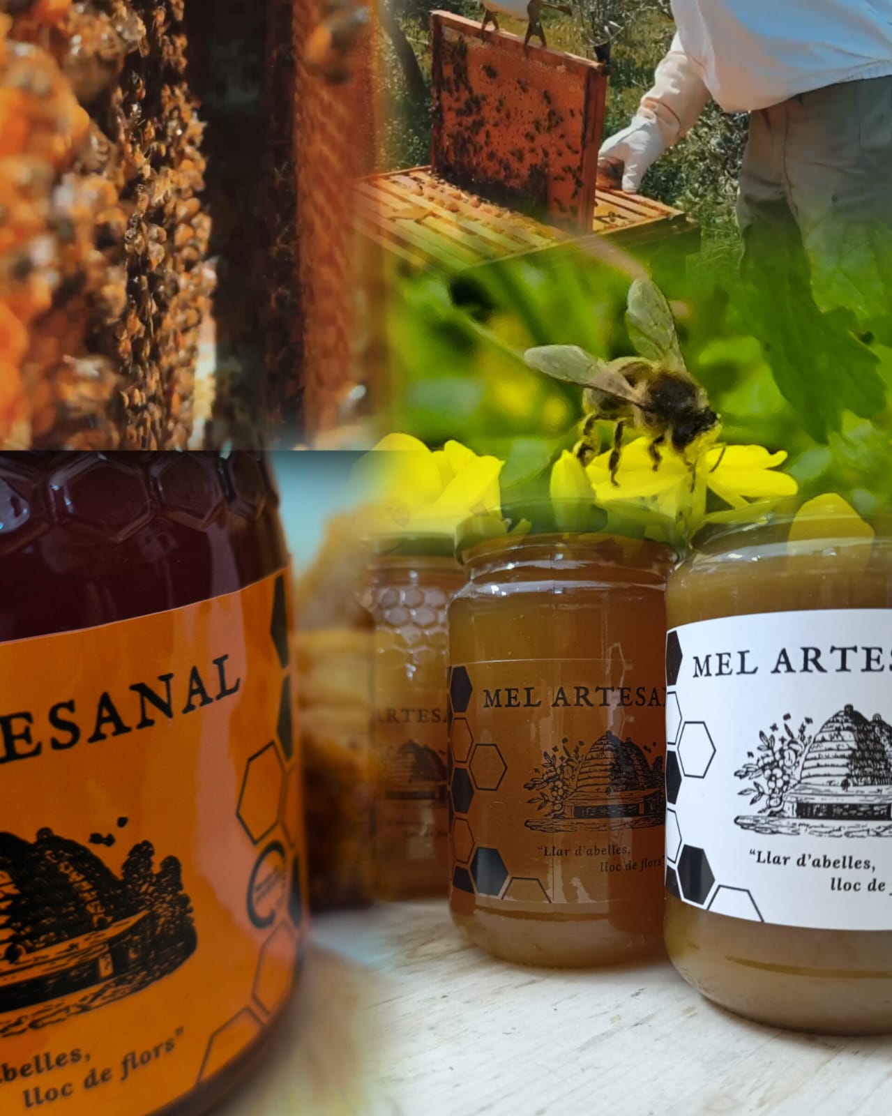 Galería en miniatura