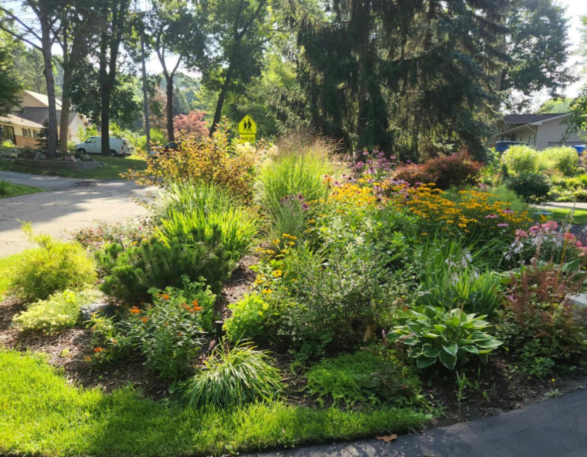 Synergy Lawnscape Image