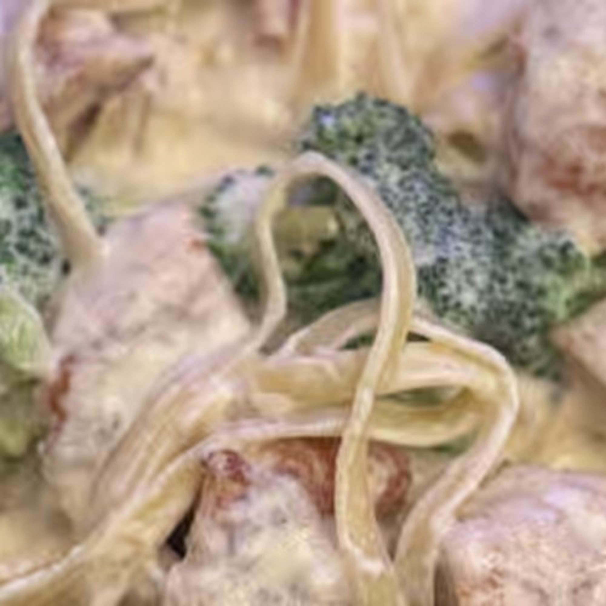 Chicken Alfredo