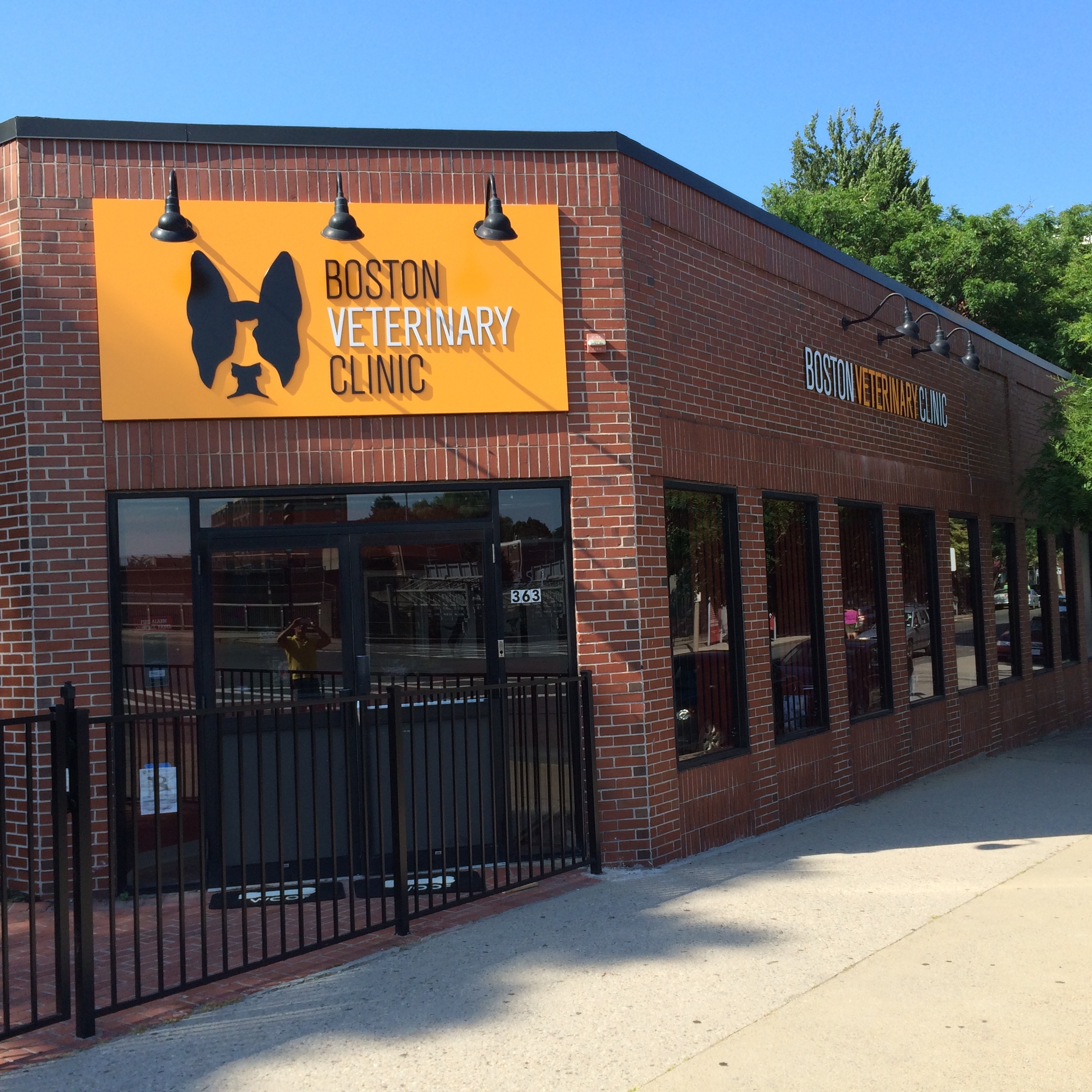 Boston Veterinary Clinic Photo