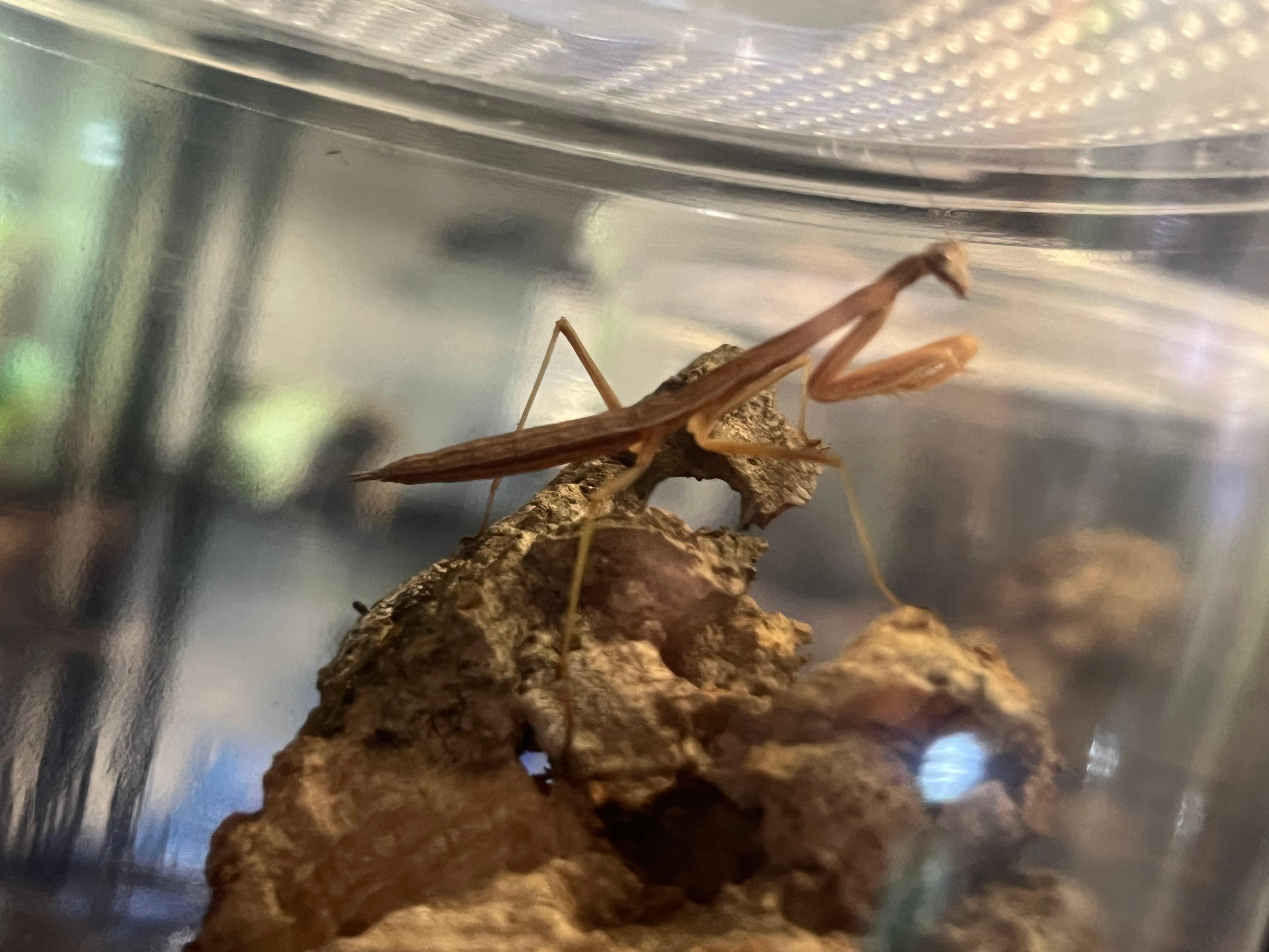 Terrarium Station Image