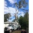 Broken Branch Tree Service LLC Logo
