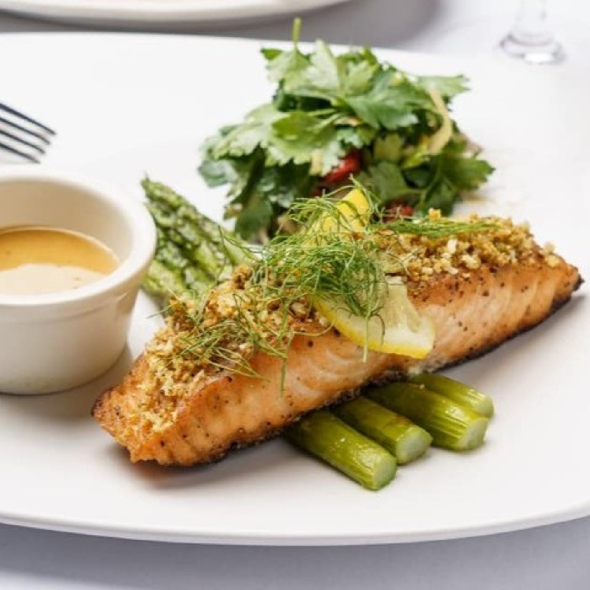 Salmon