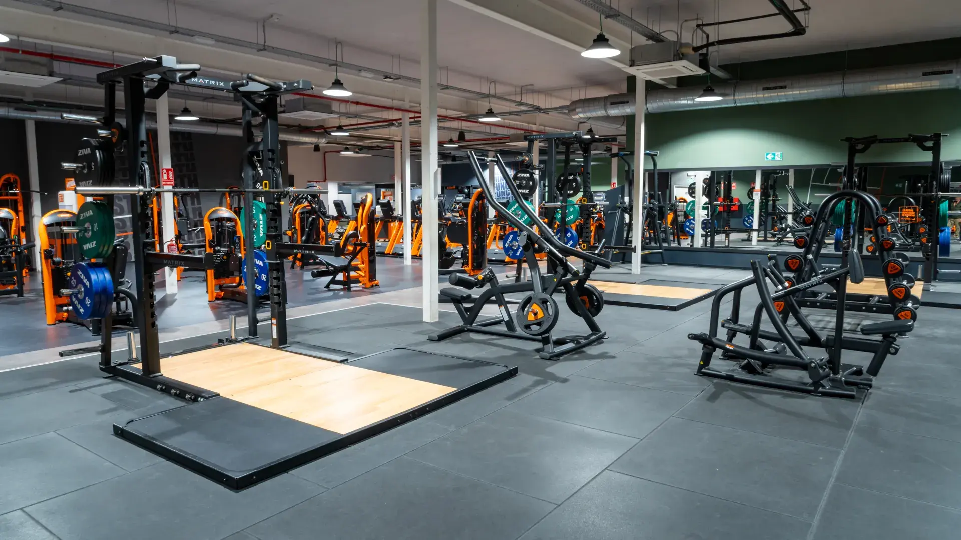 Galería de imágenes