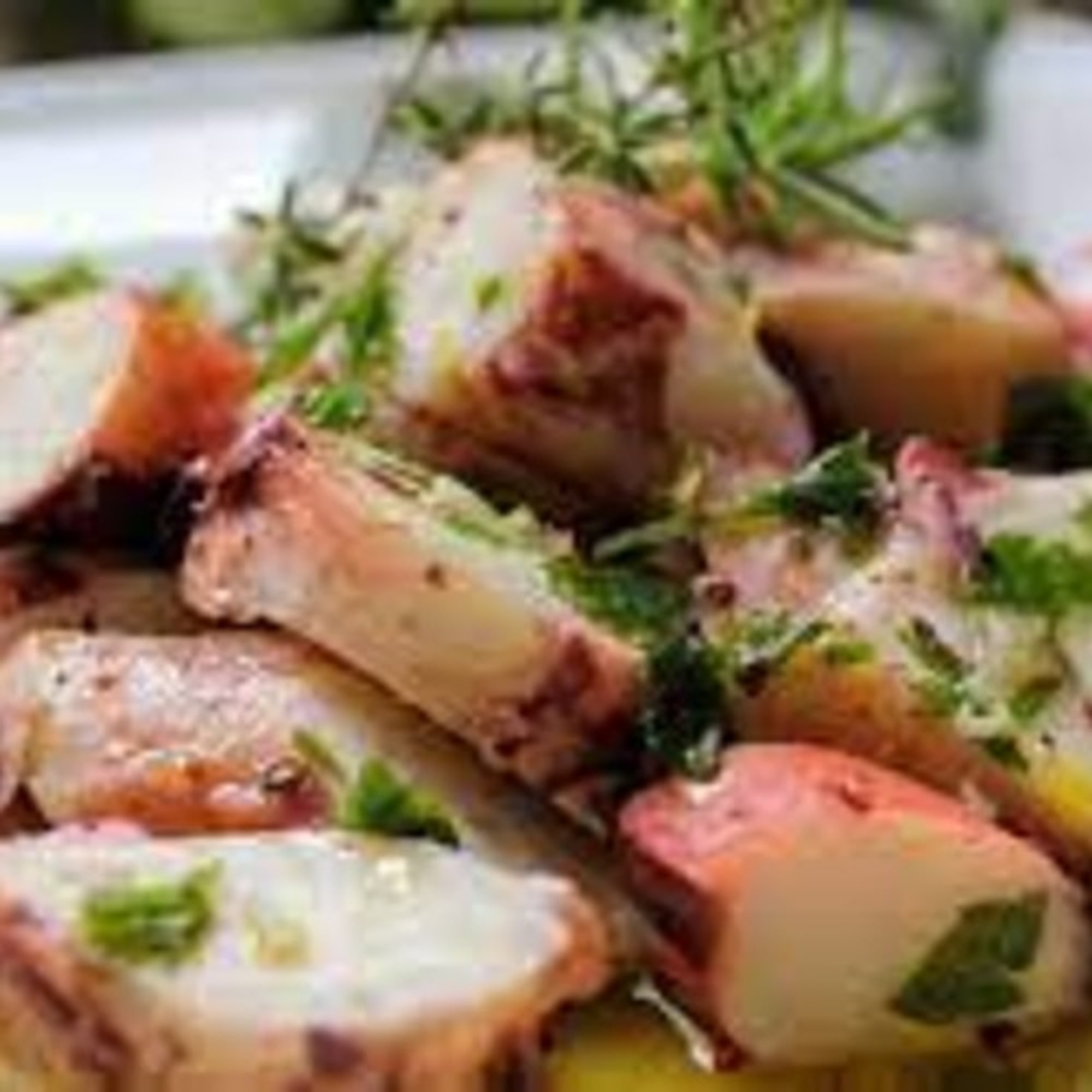 Octopus a la Provenzal