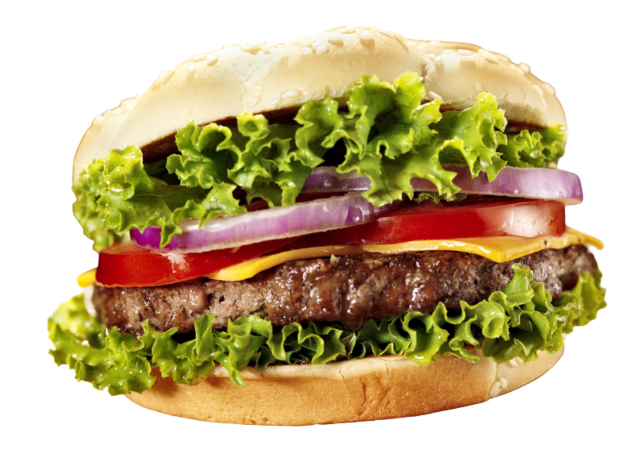Cheesburger (6 oz)