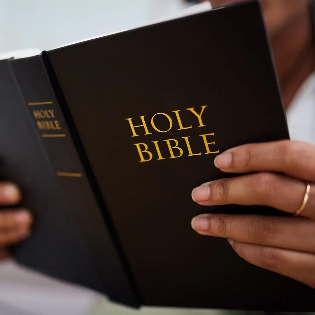 Catholic International University Image