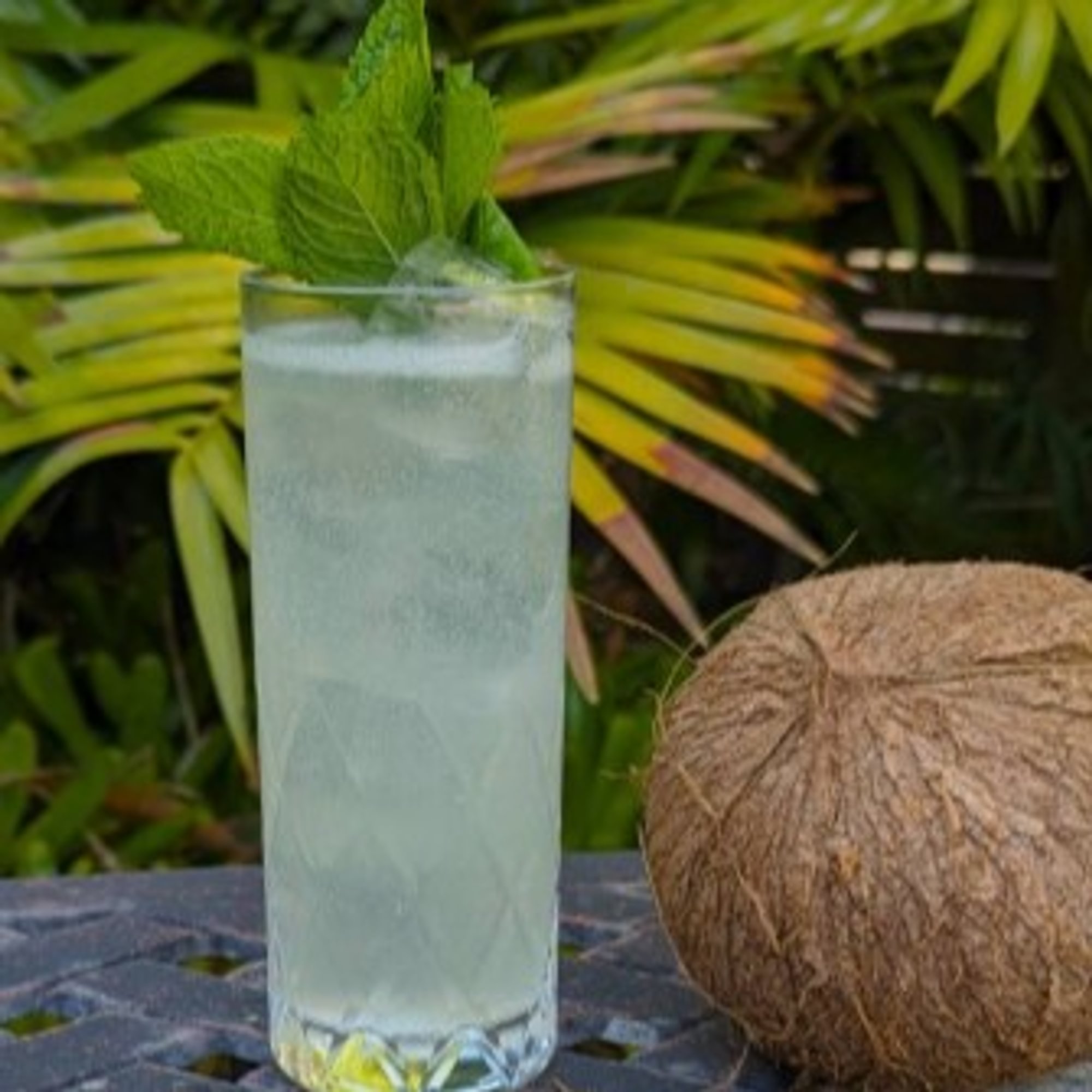 AGUA DE COCO