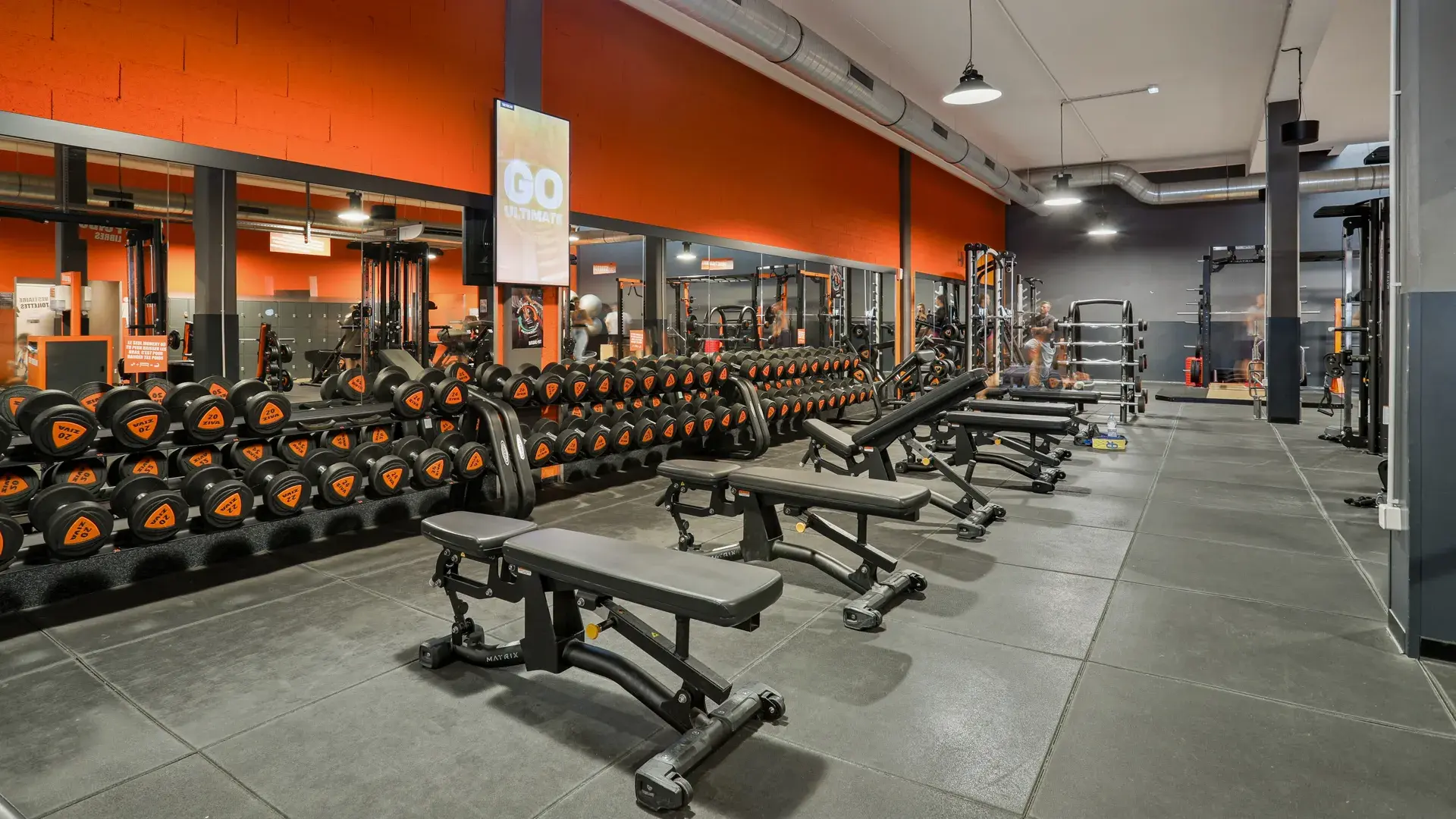 Miniature de la galerie