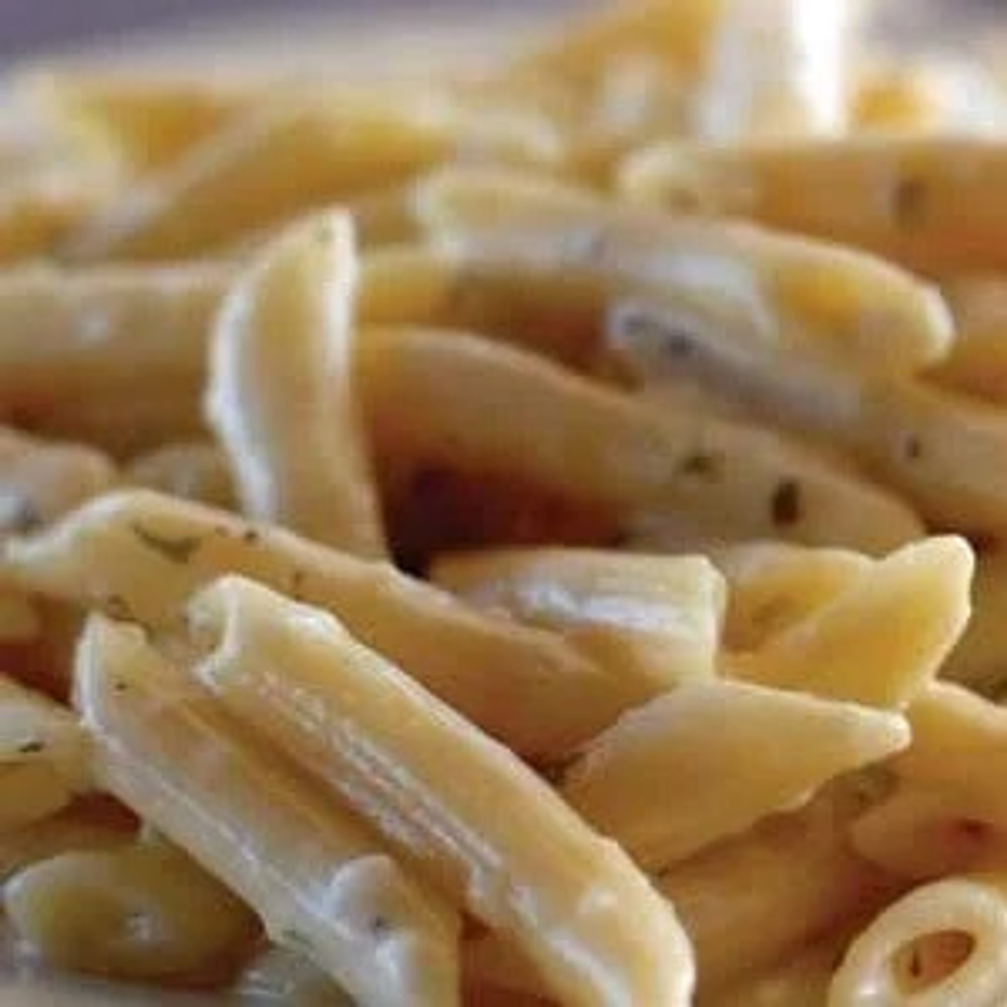 Large Pan Penne with Alfredo (Feeds 12-18)