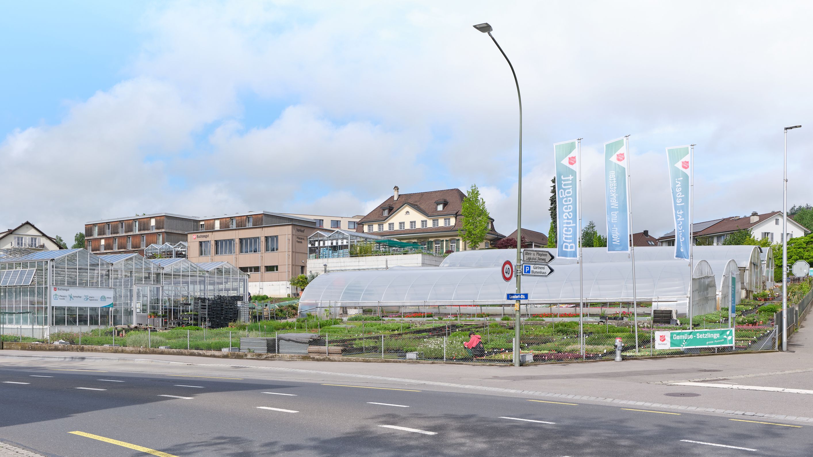 Galerie-Thumbnail