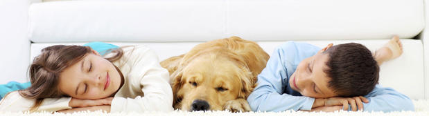 Images Nu-Way Carpet Cleaning